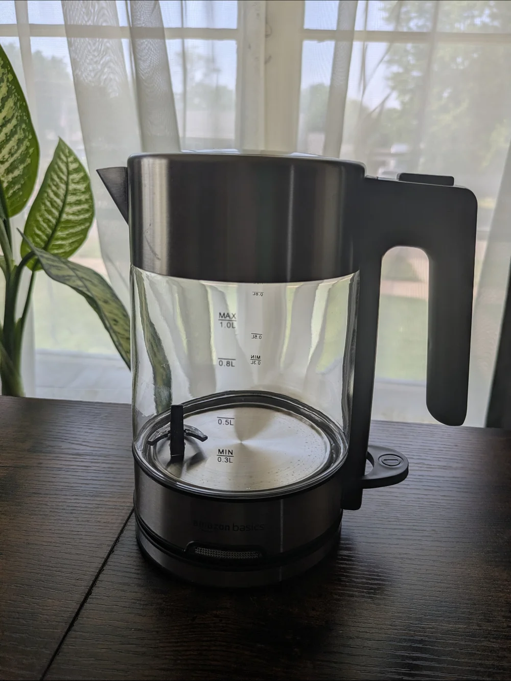 Stainless Steel & Glass Electric Kettle